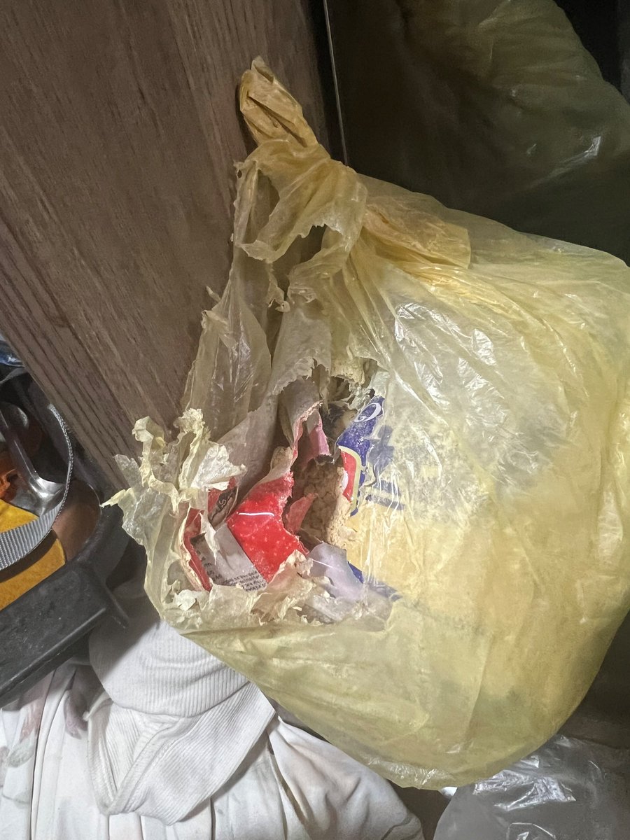 prateeksamaiya's tweet photo. @IndiaPostOffice  Seriously? Rats ate my parcel! 🐀📦 This is unacceptable. I need a refund and an explanation.  #IndiaPost #ParcelEaten 

@min

Article No:CK489037359IN https://t.co/EvfDkpRyOQ