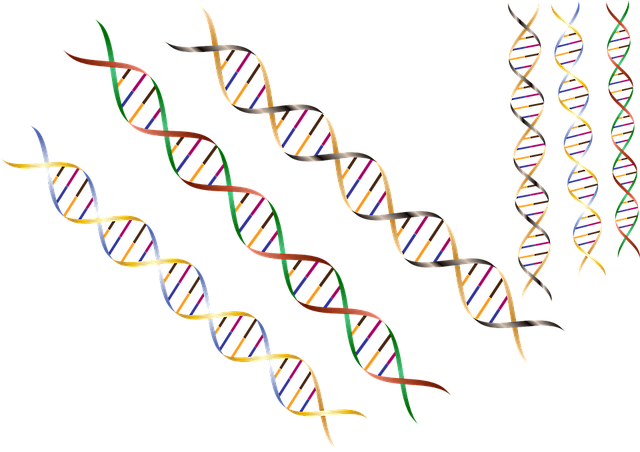 LaskerFDN's tweet photo. #LaskerLaureate and two-time #Nobel Prize winner Frederick Sanger was born #OTD. He received the 1979 #LaskerAward for developing a technique for rapid #DNA sequencing. https://t.co/19w9veFL5f #SangerSequencing https://t.co/5WIyvrqNXP