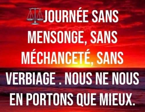 221 🇸🇳 tweet media