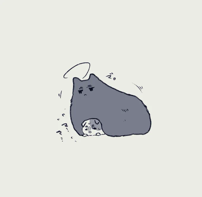 こらっ❗️スコにゃん❗️ 