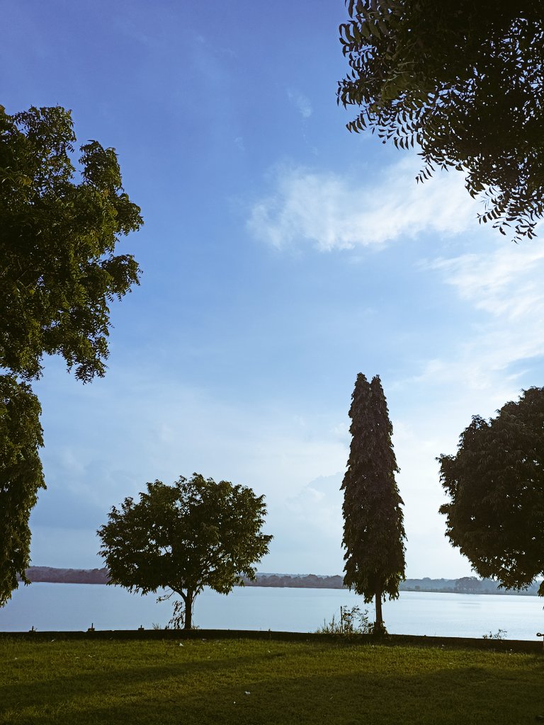 niileshraichura's tweet image. #theme_pic_India_tree 
#theme_pic_India_cloud