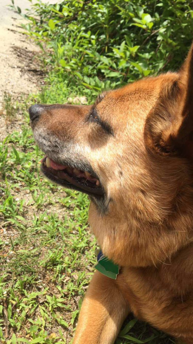miss_abaddon's tweet photo. Until we meet again, sweet girl. https://t.co/bySs0qBBet