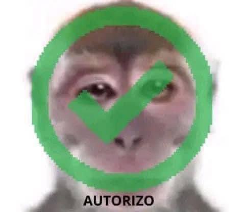 Angeel_Artesano's tweet photo. Yo preguntandome a mi mismo si me forjo otro gallo: https://t.co/bAfgnRRHCo