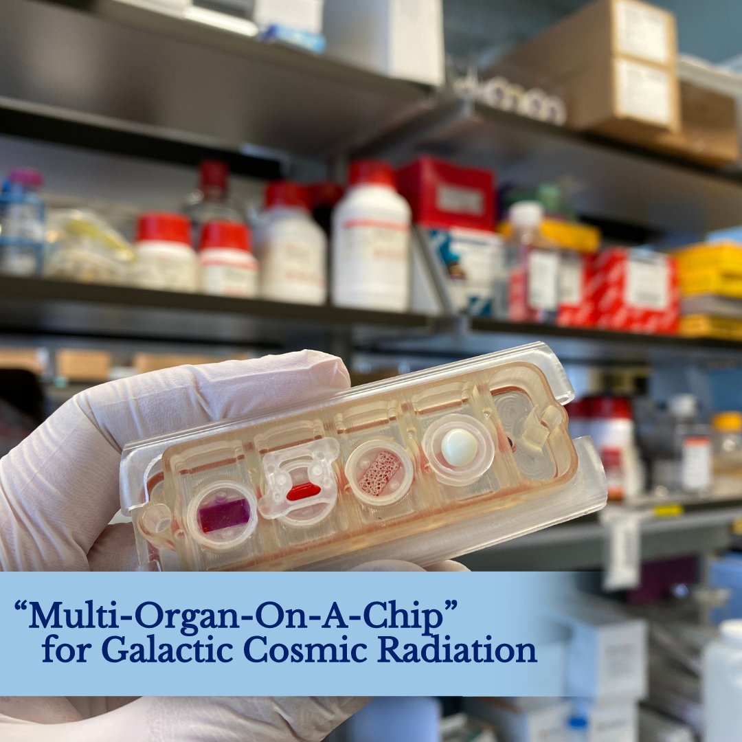 One small step for man, one giant leap for organ-on-chip!🚀 

Read more here: bit.ly/3LVWi7U