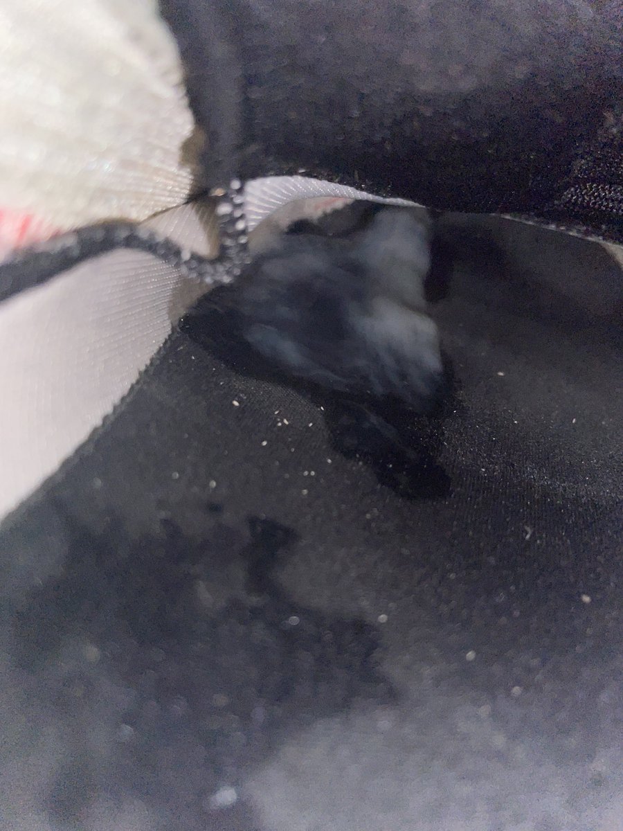 扫楼扫的脚生疼   最后终于发现了一双大臭鞋   也是很久没看到44以上的码数很兴奋    像是打完球放在门口晾还没散尽的臭味    鼻子越往里凑闻到的味道越重   如果鞋垫能拿出来真的恨不得舔上去