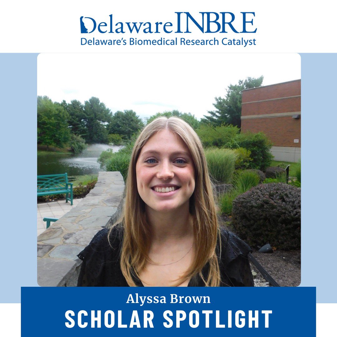 Delaware INBRE tweet media