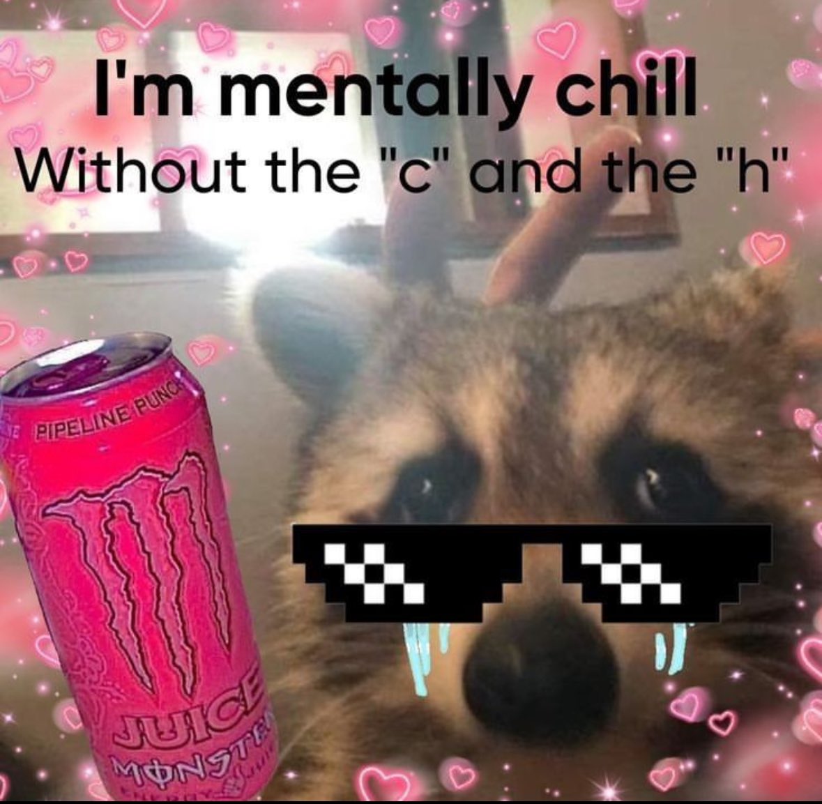 raccoonesthetic's tweet image. 