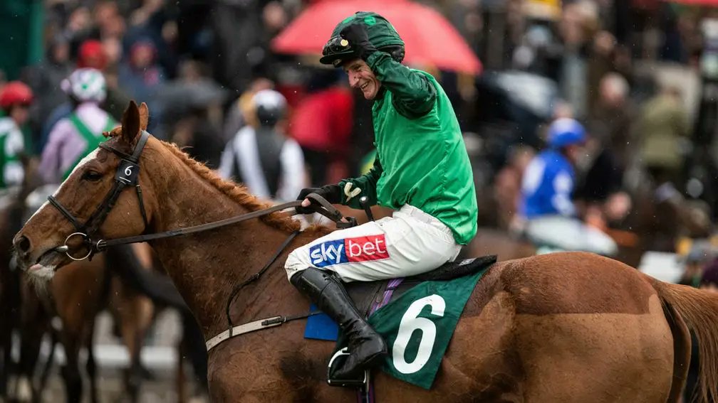 Dash Grange Stud tweet media