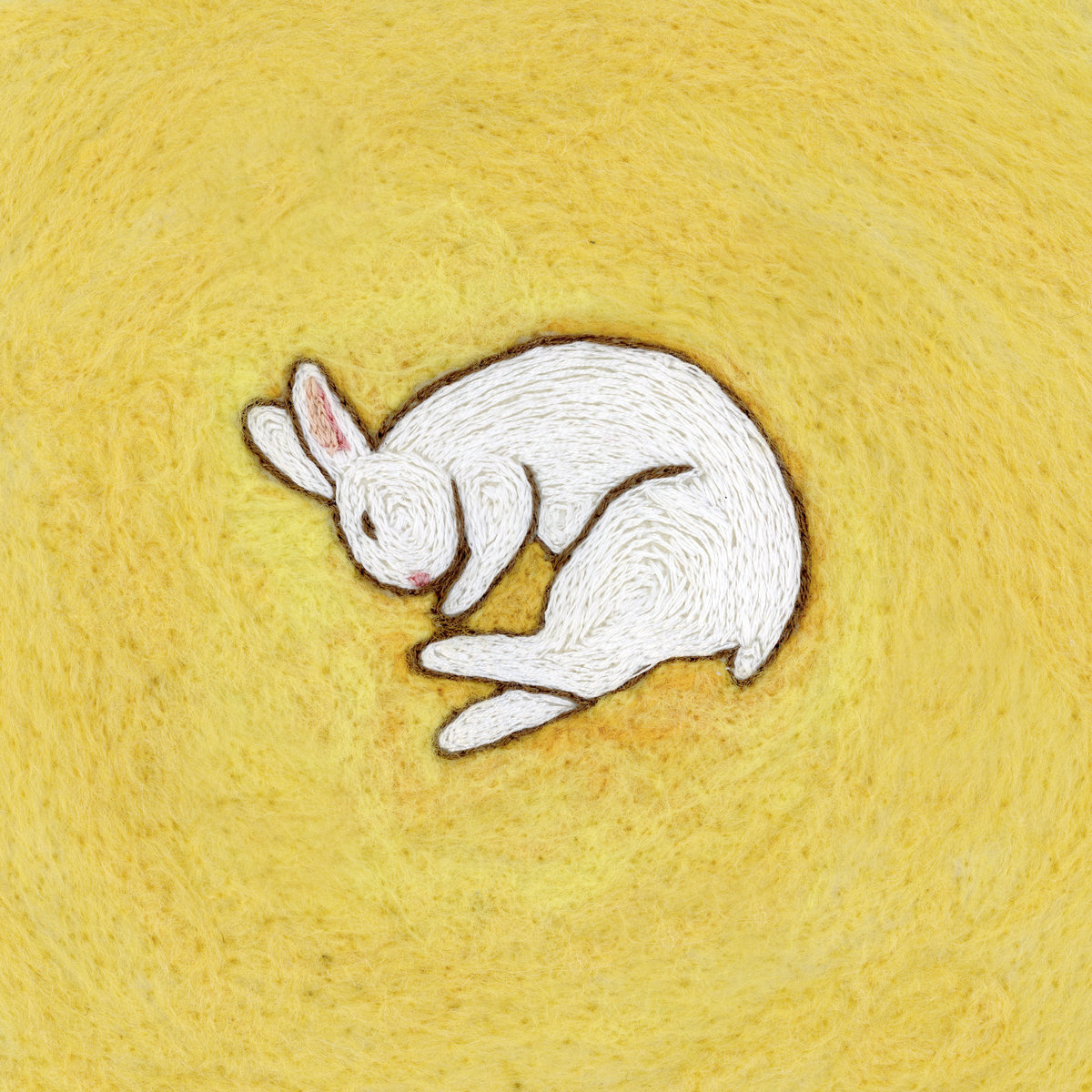 The charts have been updated.

<a href="/urarmsrmycocoon/">your arms are my cocoon</a> - 'Death of a Rabbit' debuts at #14 in the top albums of 2024.

rateyourmusic.com/charts/