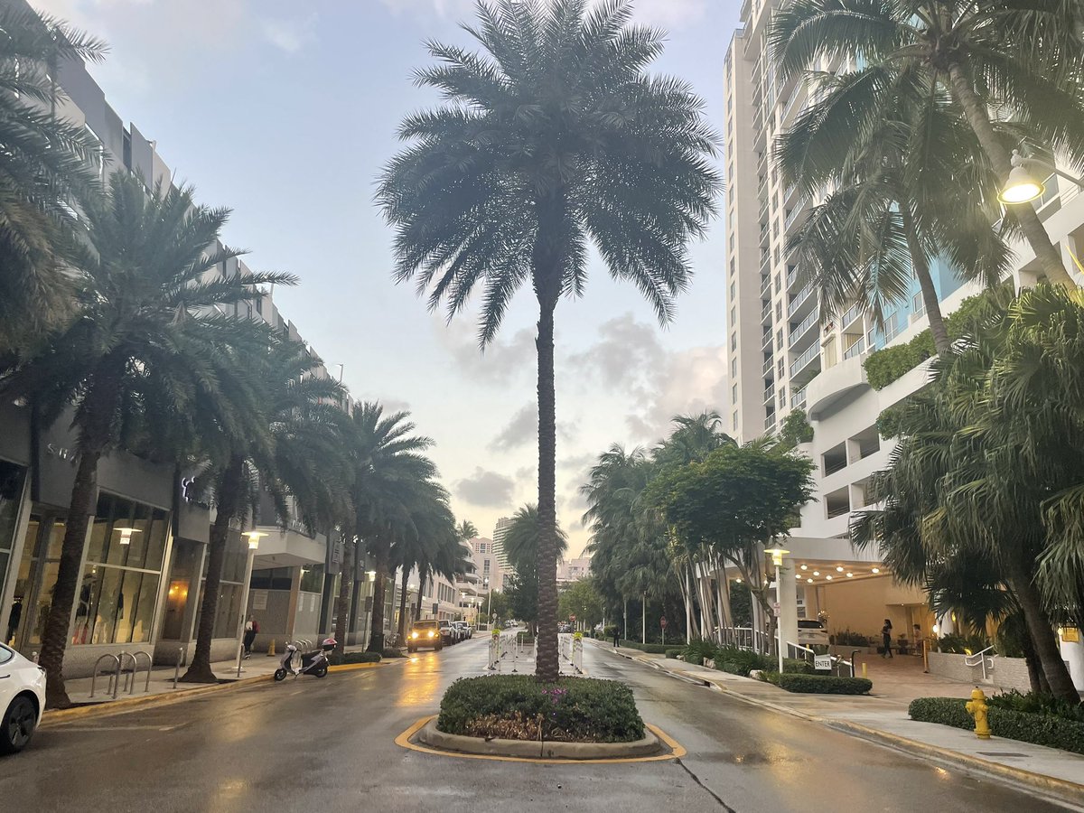 I’ve heard—&amp; know for a fact— that the hardest part of working out is getting into your shoes &amp; out the door… esp at 5:50AM!🥱 Today’s personal achievement was that— a 6AM circuit followed by yoga at 7AM (this was taken at 6:50AM as the ☀️ was beginning to rise). Happy Tues all!