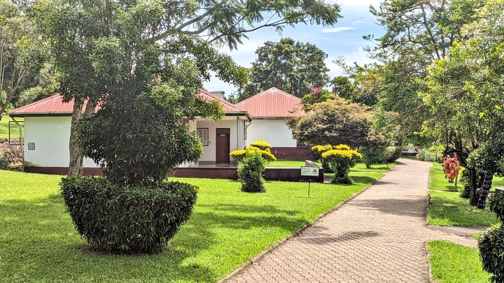 Hi, OG! 

Don't be a stranger. 👀
Do pass by sometime to check on us, enjoy this serene environment and enjoy the ka wifi. ☺️🤗
#UMUNkozi #UMUCommunity