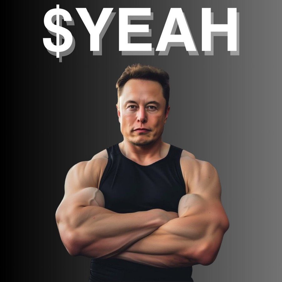 ireneilicia's tweet photo. @SolanaPrincess $yeah Ath incoming 🚀🚀🚀 https://t.co/jAUYHtOomN
