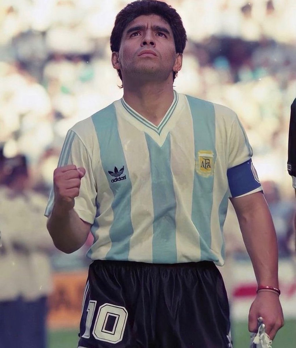 Gelatina tweet media