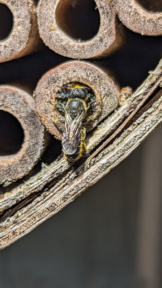 Abi Matthews tweet media