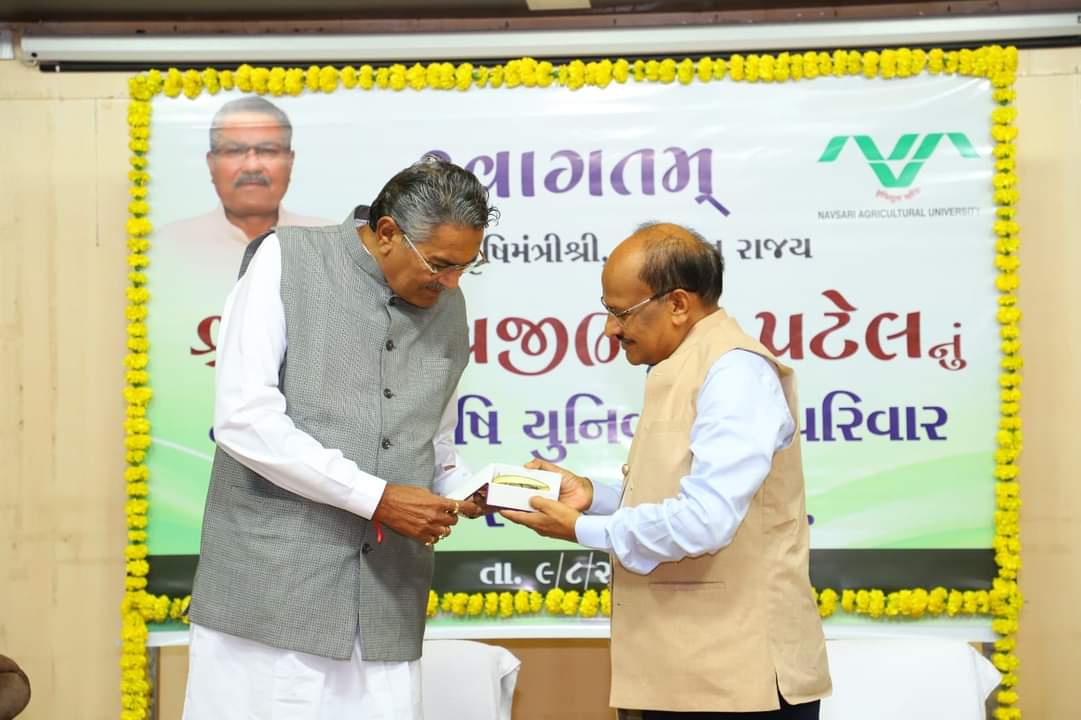 vc_nau's tweet photo. Shri Raghavjibhai Patel, Hon'ble Minister of Agriculture, Animal Husbandry, Cow-Breeding and Fisheries visited NAU Navsari and addressed a large gathering of over 300 teachers, agricultural scientists, and students on August 9, 2024. https://t.co/EL13g7kCJH