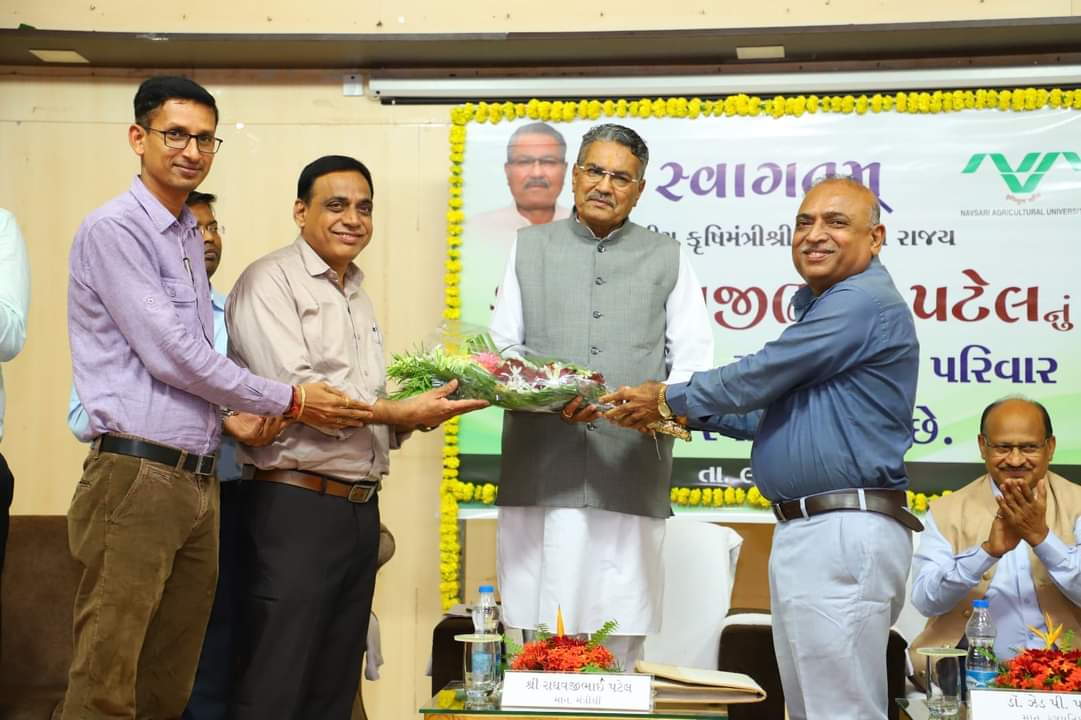 vc_nau's tweet photo. Shri Raghavjibhai Patel, Hon'ble Minister of Agriculture, Animal Husbandry, Cow-Breeding and Fisheries visited NAU Navsari and addressed a large gathering of over 300 teachers, agricultural scientists, and students on August 9, 2024. https://t.co/EL13g7kCJH