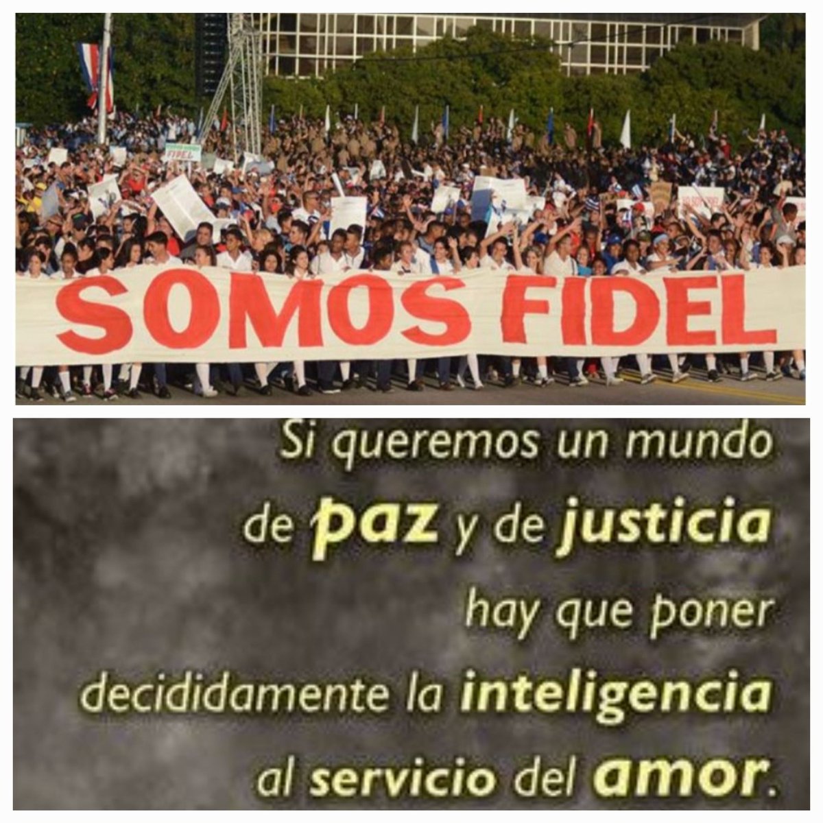 ActheinayCobo's tweet photo. A Fidel debemos la concepción profundamente internacionalista y solidaria del pueblo cubano,expresada en las relaciones con los hermanos pueblos del mundo entero,incluyendo en el continente africano pq se trataba,de “la causa más bella de la humanidad”.@𝗖𝘂𝗯𝗮𝗰𝗼𝗼𝗽𝗲𝗿𝗮𝗗𝗷 https://t.co/qy7jbV5qPt