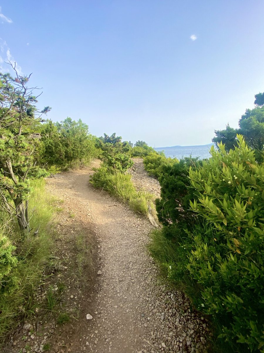 "Last night we walked along a narrow dusty path in the wild and untouched nature. And suddenly I had an epiphany when I saw again, after some years [...]"

Text by Croatian artist Jovana Popić for the #AtlasOfChange.

🔗 acortar.link/HfeY1R