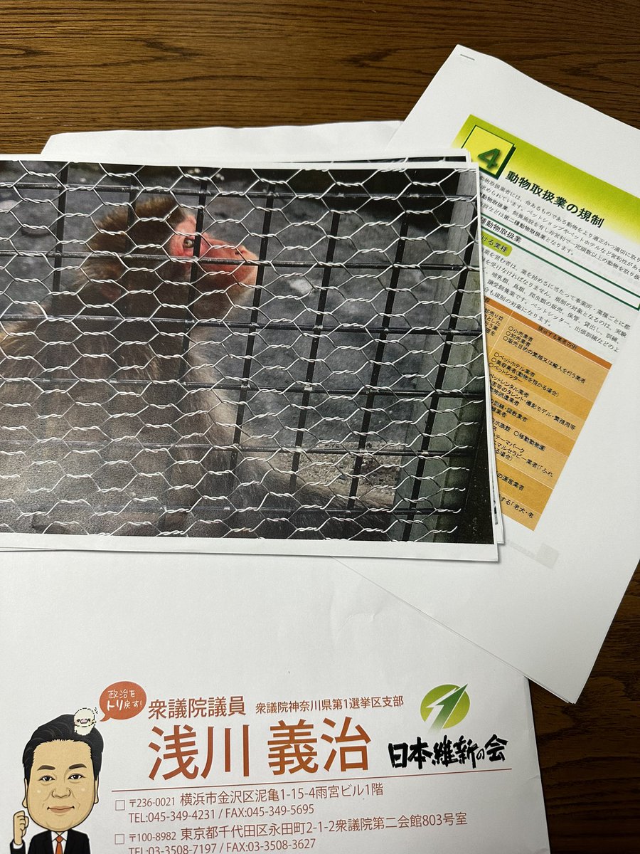 chocomintjeny's tweet photo. 今日も溶けるような暑さでしたね🥵
某公園の猿舎やその他の動物達の
飼育環境の改善要望について #浅川義治衆議院議員 と一緒に市役所に話に行って来ました。
副市長と担当者の方にとても丁寧に対応頂き全ての要望をお伝えする事が出来ました。前向きに検討頂けるとの事でした🙏
#動物はモノじゃない https://t.co/VasATSijLq