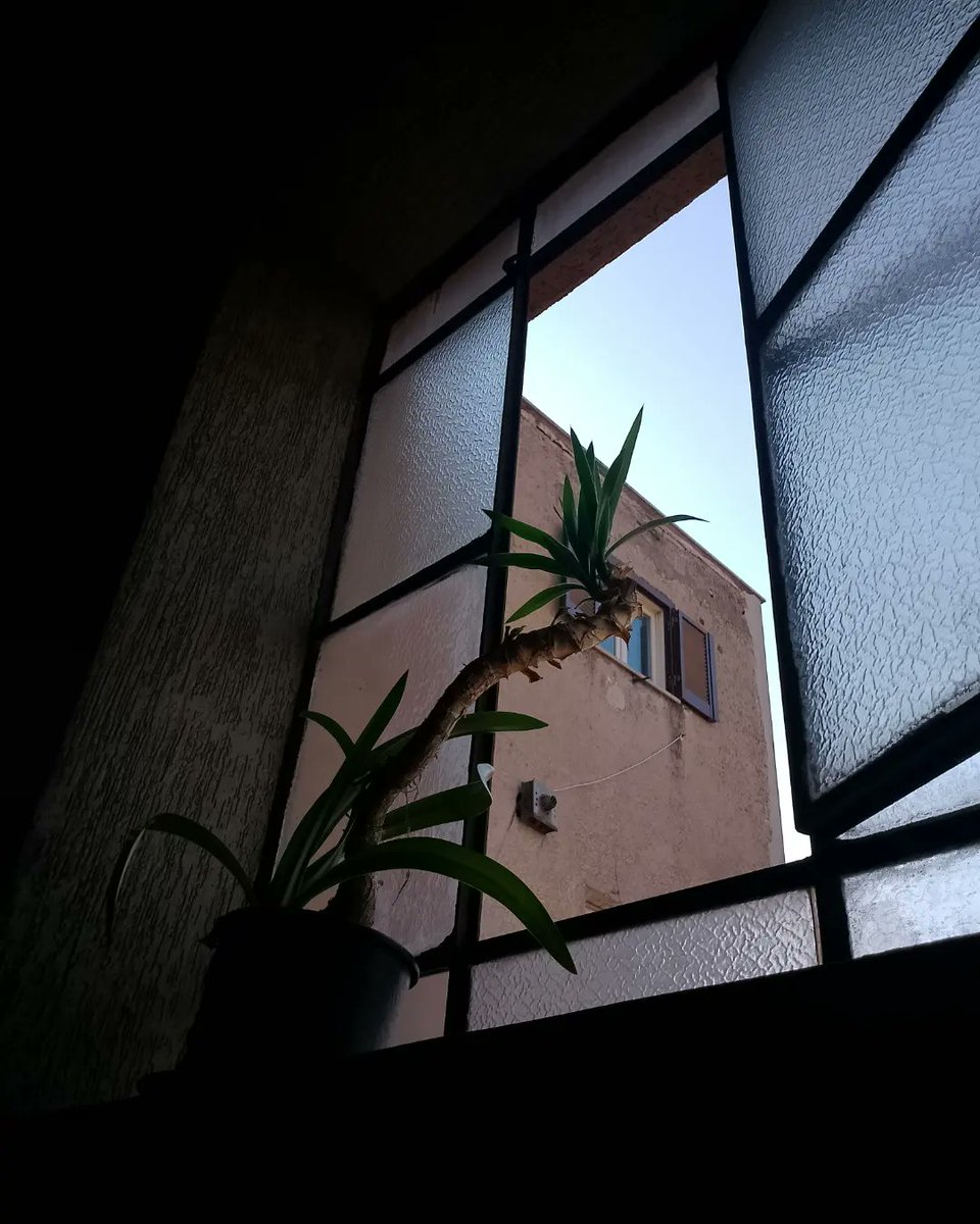 Non so niente sulla commemorazione, sul lasciare andare, sulle vite che cambiano. Non so come si vive una città, come si può pensare di lasciarne una. Mettere delle linee può essere una liberazione, una celebrazione. E quello che siamo continueremo a esserlo sempre.