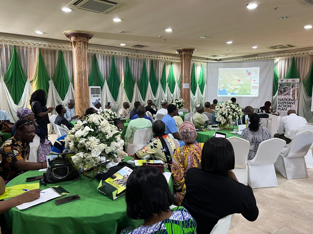 Department of Forestry tweet media