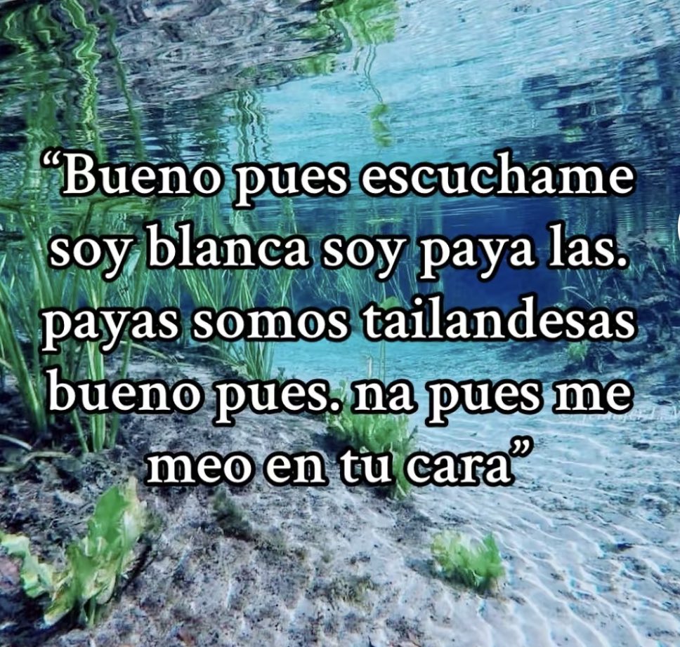 ferrxn__'s tweet photo. miss triana marrash.. ella sempre unes veritats com un piano.. #filosofa #filosofia #carpediem #verdaduniversal #laspayasnopuedenentraralowen https://t.co/OCqG94X2ne