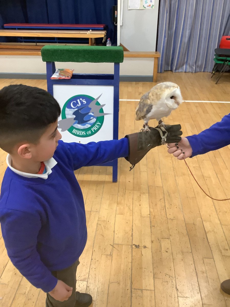 Birds of Prey School Visits 📷

We offer the opportunity to get up close with our magnificent birds.

To book your school visit for the new school year contact us today!

cjsbirdsofprey.co.uk