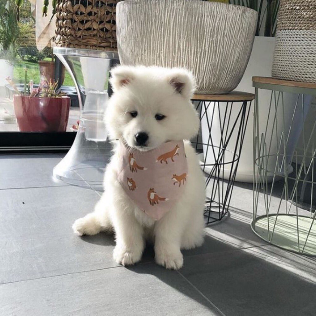 takemybear 🐶 tweet media