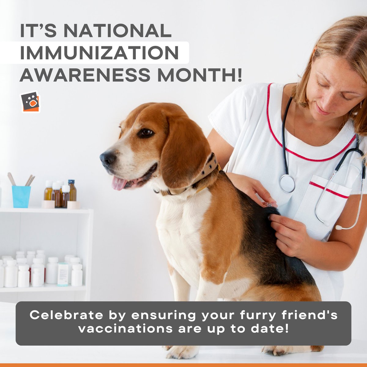 🐾 This National Immunization Awareness Month, prioritize your pet's well-being with regular vaccinations. Together, let's keep our furry companions happy and healthy! Visit: vvcofhamburg.com/contact/