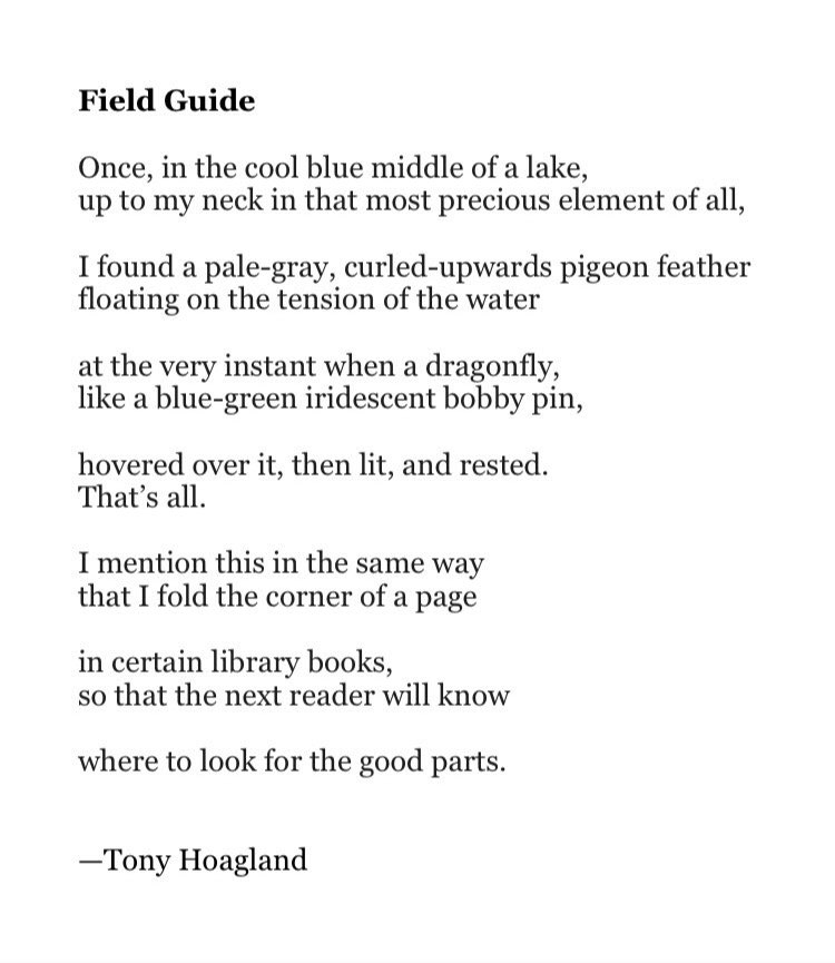 Joseph Fasano tweet media