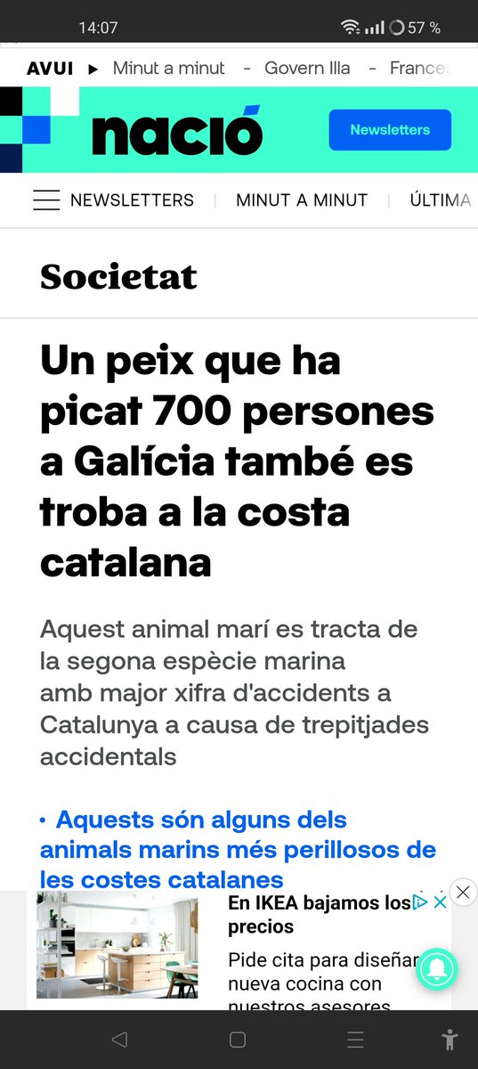 Jtg_bdn's tweet photo. Dios está en todas partes i este pez no le va a la zaga. 🙄🙄 https://t.co/xSLYbJ2Af8