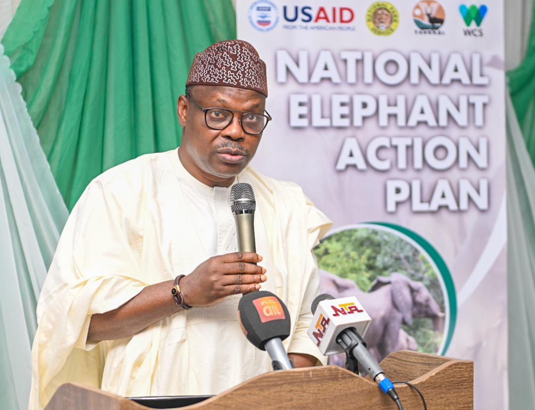 Environment Ministry (@fmenvng) on Twitter photo Dr. <a href="/SalakoIziaq/">Dr Iziaq Adekunle Salako</a>, Minister of State for Environment, launched Nigeria's National Elephant Action Plan (NEAP) to protect our declining elephant population and preserve biodiversity. This marks a critical step in reversing the threat to our iconic wildlife. Dr. <a href="/SalakoIziaq/">Dr Iziaq Adekunle Salako</a>, Minister of State for Environment, launched Nigeria's National Elephant Action Plan (NEAP) to protect our declining elephant population and preserve biodiversity. This marks a critical step in reversing the threat to our iconic wildlife.