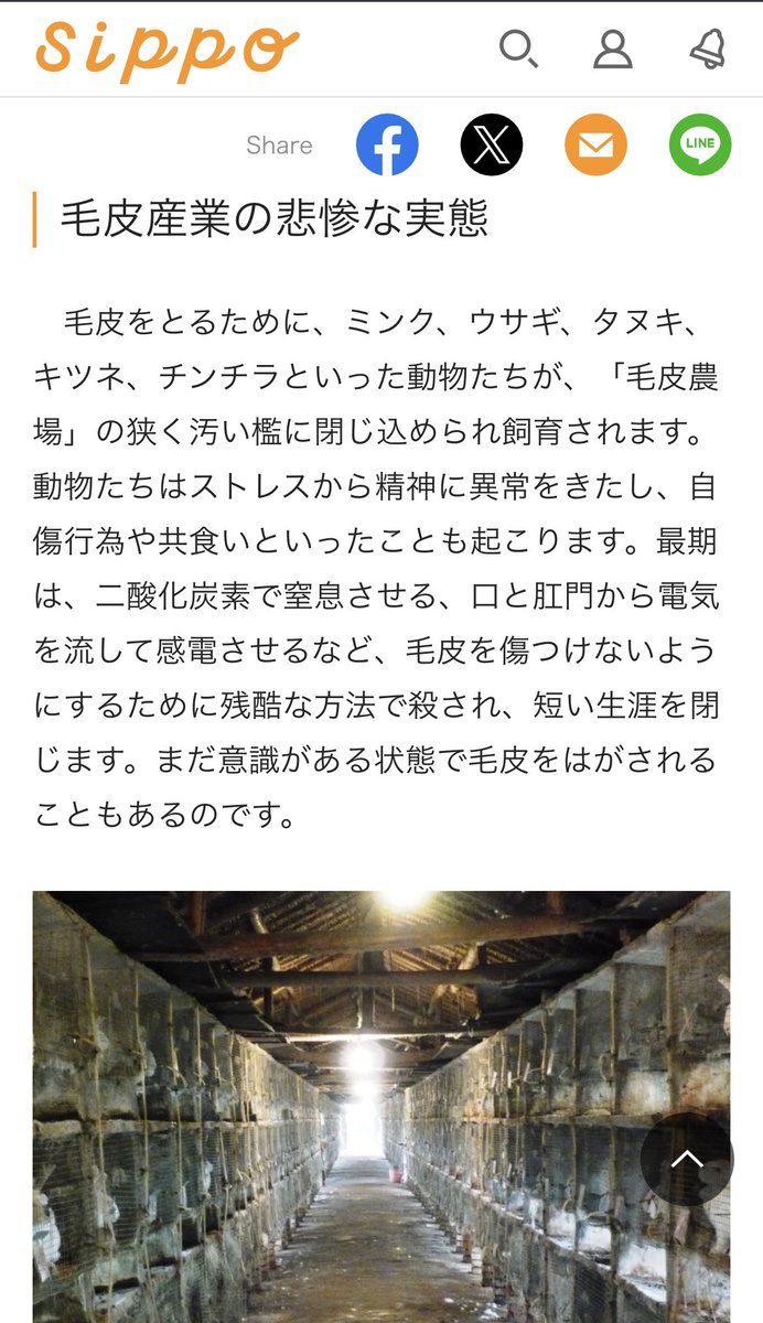 cherry4hour's tweet photo. 毛皮をとる為の動物達がどんな扱いか知ってください。「毛皮農場」のストレスから精神に異常をきたし、自傷行為や共食い、最期は、二酸化炭素で窒息させる、口と肛門から電気を流して感電させ、毛皮を傷つけない様に残酷な方法で殺される。意識がある状態で毛皮を剥かれてる😖
https://t.co/4IEuydbViI https://t.co/NMeFVC4gpy
