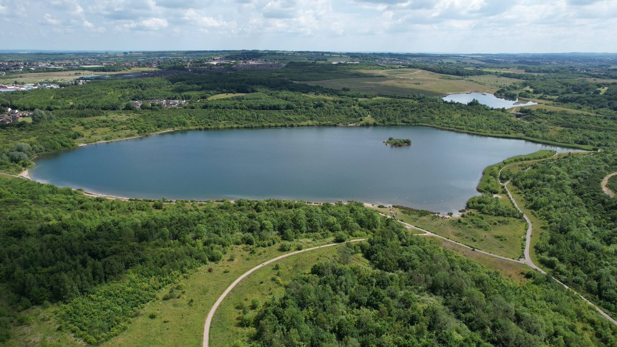 🎉 We’re proud to announce we’ve reached a remarkable 25% forest cover, following three decades of transformation!🌳

🙏 Thank you to the landowners, businesses, and local communities who have helped us to achieve this target. 

Read more: bit.ly/4fJ6Yo7