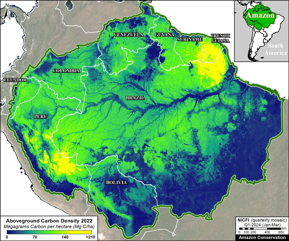 🚨Unprecedented Look at Carbon across Amazon

We got exclusive access to new Amazon-wide carbon data from <a href="/planet/">Planet</a>

So many key results!

Amazon=71.5 billion metric tons C

1) Brazil, 2) Peru, 3) Colombia,4) Venezuela

maaproject.org/2024/carbon-am…

<a href="/ACA_DC/">Amazon Conservation</a>,<a href="/theamazonwewant/">Science Panel for the Amazon</a>,<a href="/amazonwatch/">Amazon Watch</a>