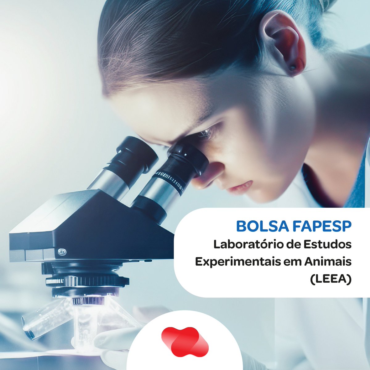 📢 Oportunidade de aprendizado e desenvolvimento profissional no Laboratório de Estudos Experimentais em Animais (LEEA), do Hemocentro de Ribeirão Preto. As inscrições vão até o dia 30/08!

Mais informações: hemocentro.fmrp.usp.br/hemocentro-rp-…

#bolsa #vaga #HemocentroRP #ctcusp