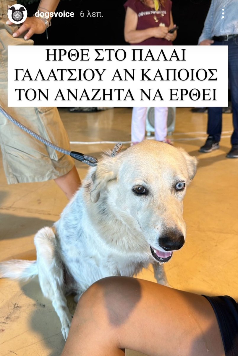#φωτια #πυρκαγιά #Βρεθηκε