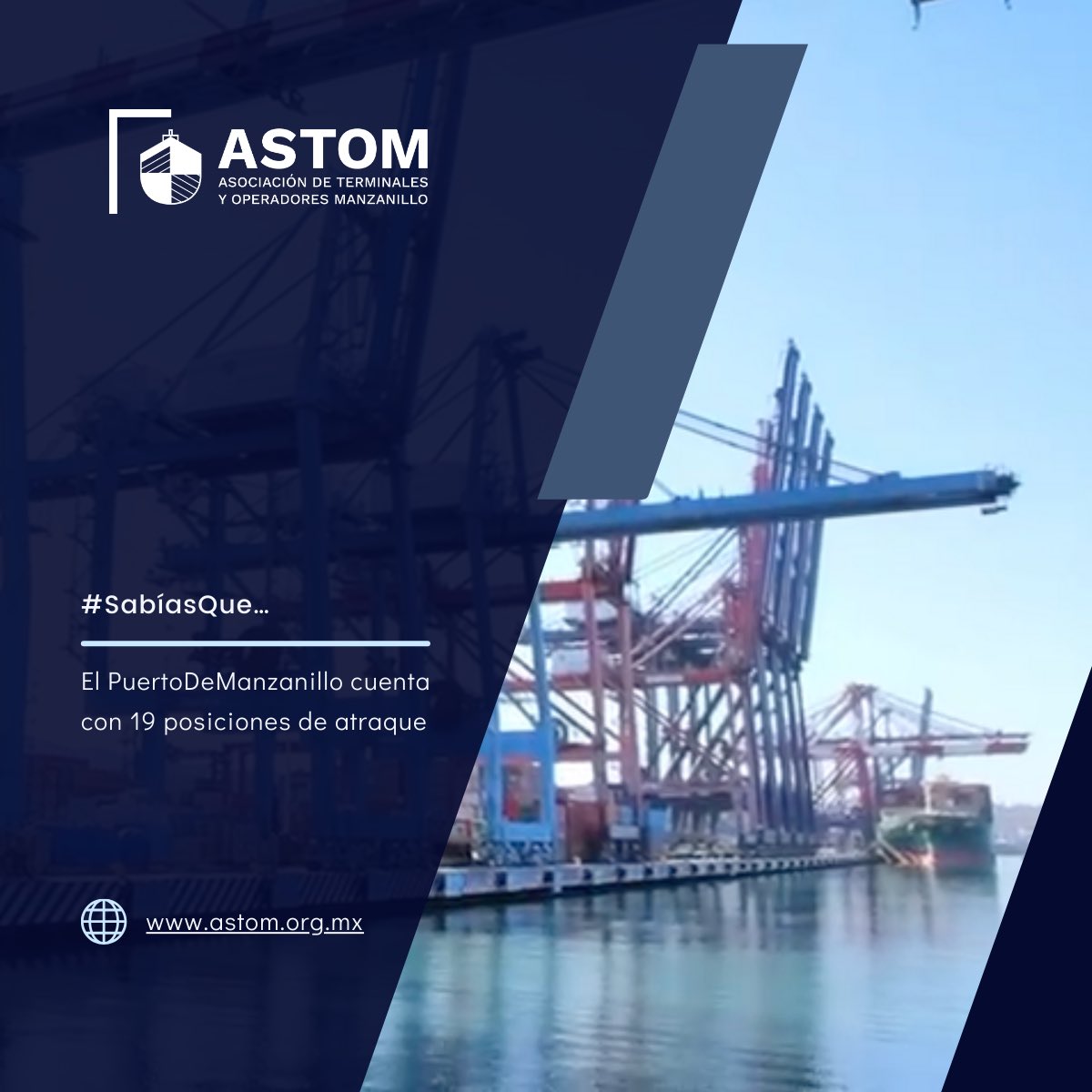 #SabíasQue… el #PuertoDeManzanillo cuenta con 19 posiciones de atraque, de las cuales 14 son comerciales, 3 para hidrocarburos y 2 de cruceros.

#SomosASTOM #RedDeProgresoPortuario #SomosManzanillo #PuertoDeManzanillo #Logística #Terminales #Conectividad