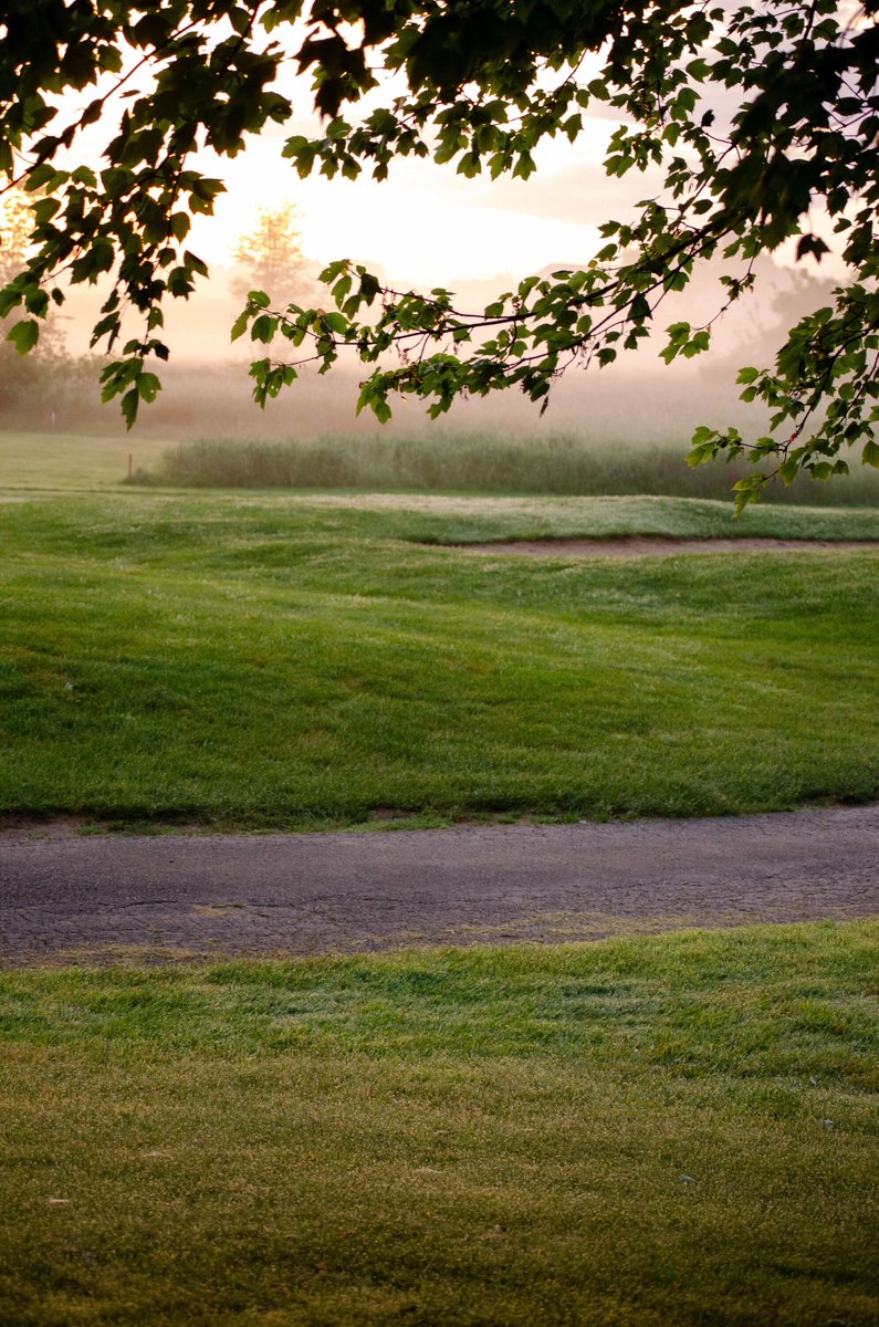 Early Summer Mornings ❤️ Starting the day with a peaceful view. 🌅⛳️ Nothing like an early summer sunrise on the golf course to set the tone for a perfect round.
