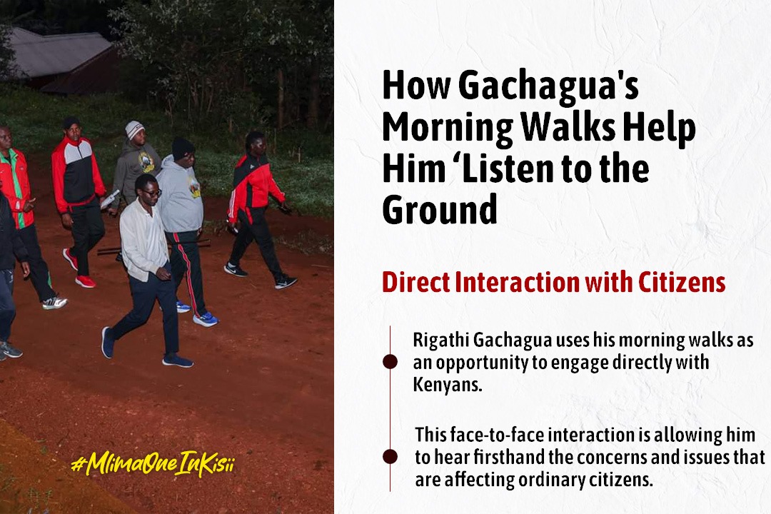 MichelleRobards's tweet image. #mlima