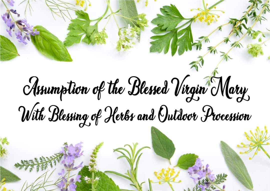 stjohnsleamspa's tweet photo. Join us on Thursday (15th August) at 6.30pm for our Mass with the traditional blessing of herbs for the Assumption of the Blessed Virgin Mary, followed by an outdoor procession through the streets of the parish, concluding with a party in Church. All welcome! @CofE_Cov https://t.co/dv0n4lRxNQ