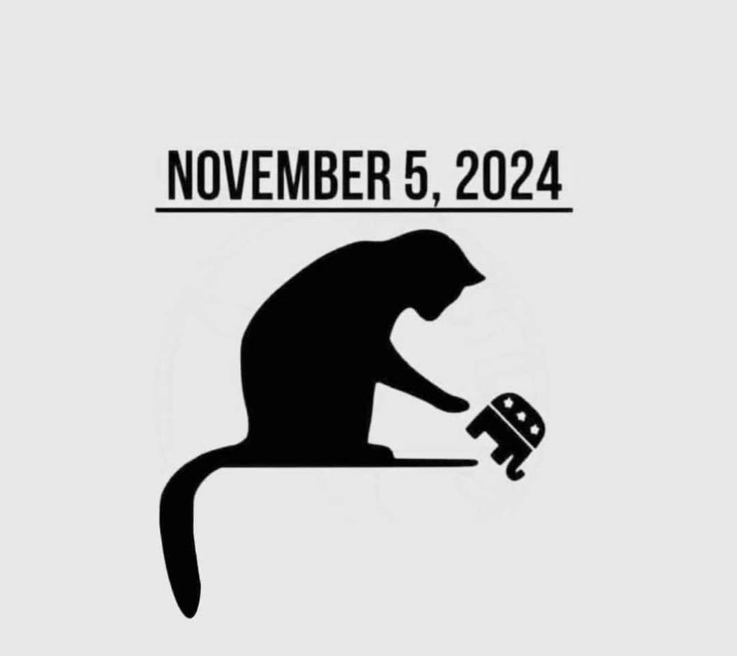AnnieForTruth's tweet image. Miserable cat ladies will be voting on November 5! 💙