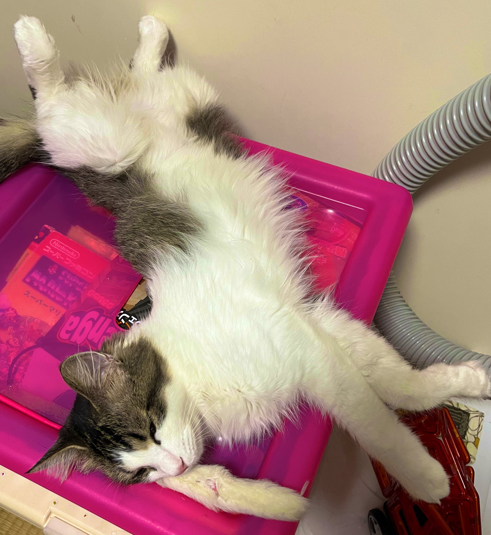 wk様♡ありがとうございます♡ 🗝️=͟͟͞͞ on X: 