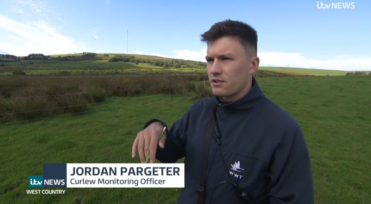 JordanPargeter's tweet photo. Privileged to have worked on such a special species this year! 

An incredible moment releasing our headstarted curlews onto Dartmoor and monitoring their progress 🪶 https://t.co/UUOtdMNCVB