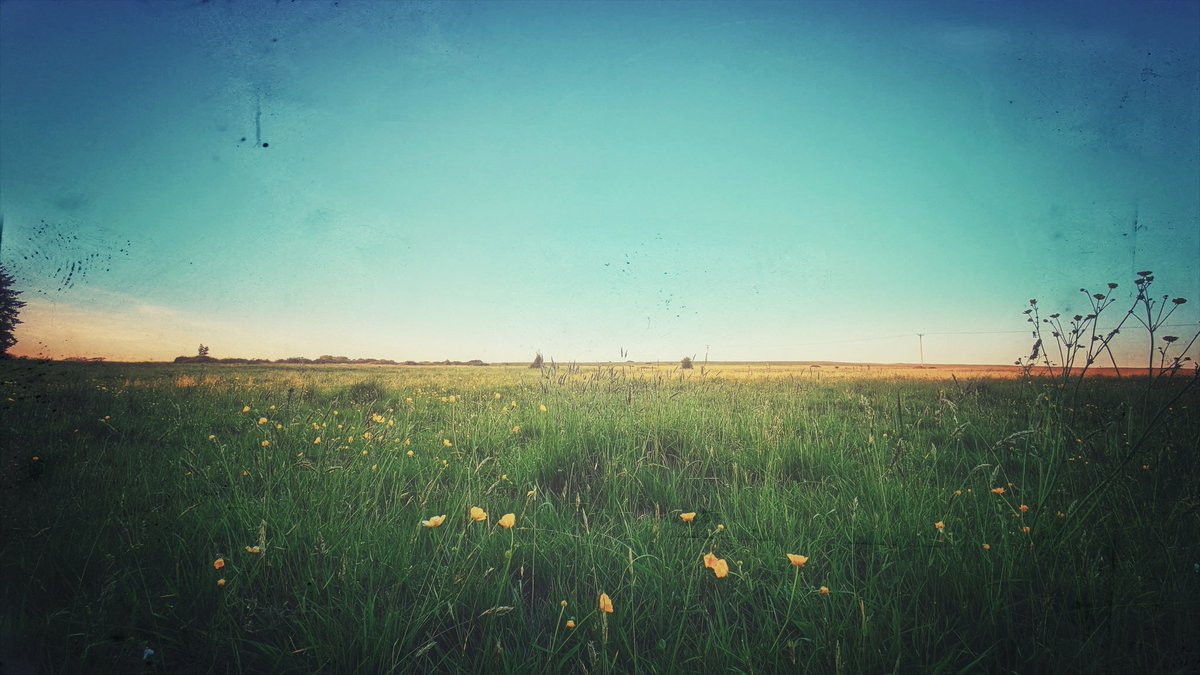 theavalonians's tweet photo. Sometimes the fields are not what they seem. There is a place high up on the Mendip Hills where a gateway will open from time to time. What is a gateway for? But to pass through from one place to another. I've heard stories about "visitors" who step through into this world... https://t.co/qRPmcvyRy0