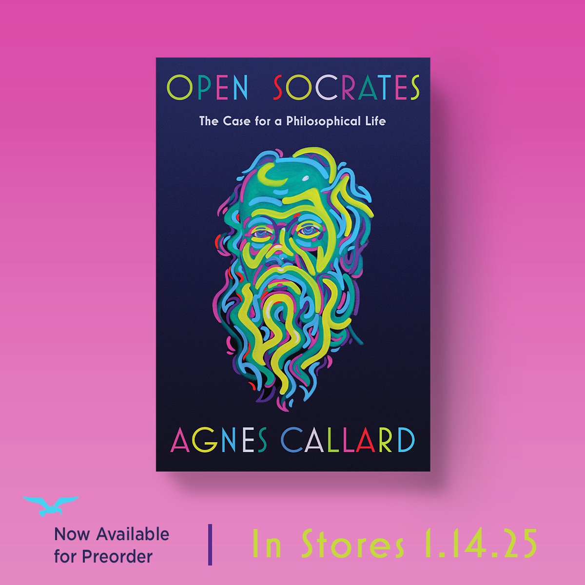I wrote a book for you, and you can pre-order it now.

More info: wwnorton.com/books/open-soc…