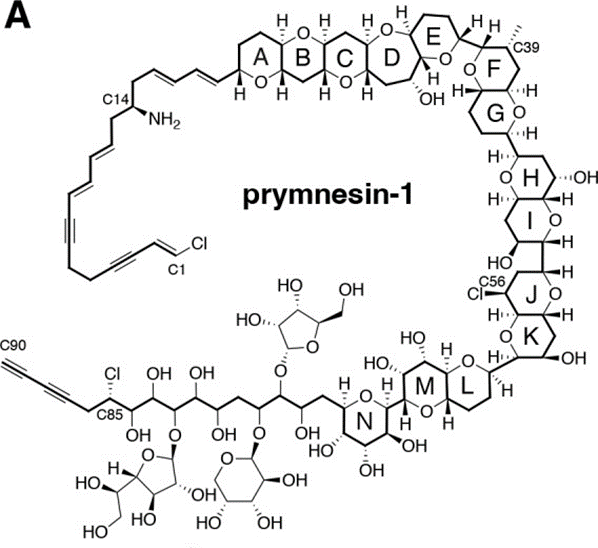 lifescilife's tweet photo. So, who is trying the total synthesis on this one? Complicated natural product from a truly massive enzyme https://t.co/1ifTbRUUwM https://t.co/a6c5owvg0a