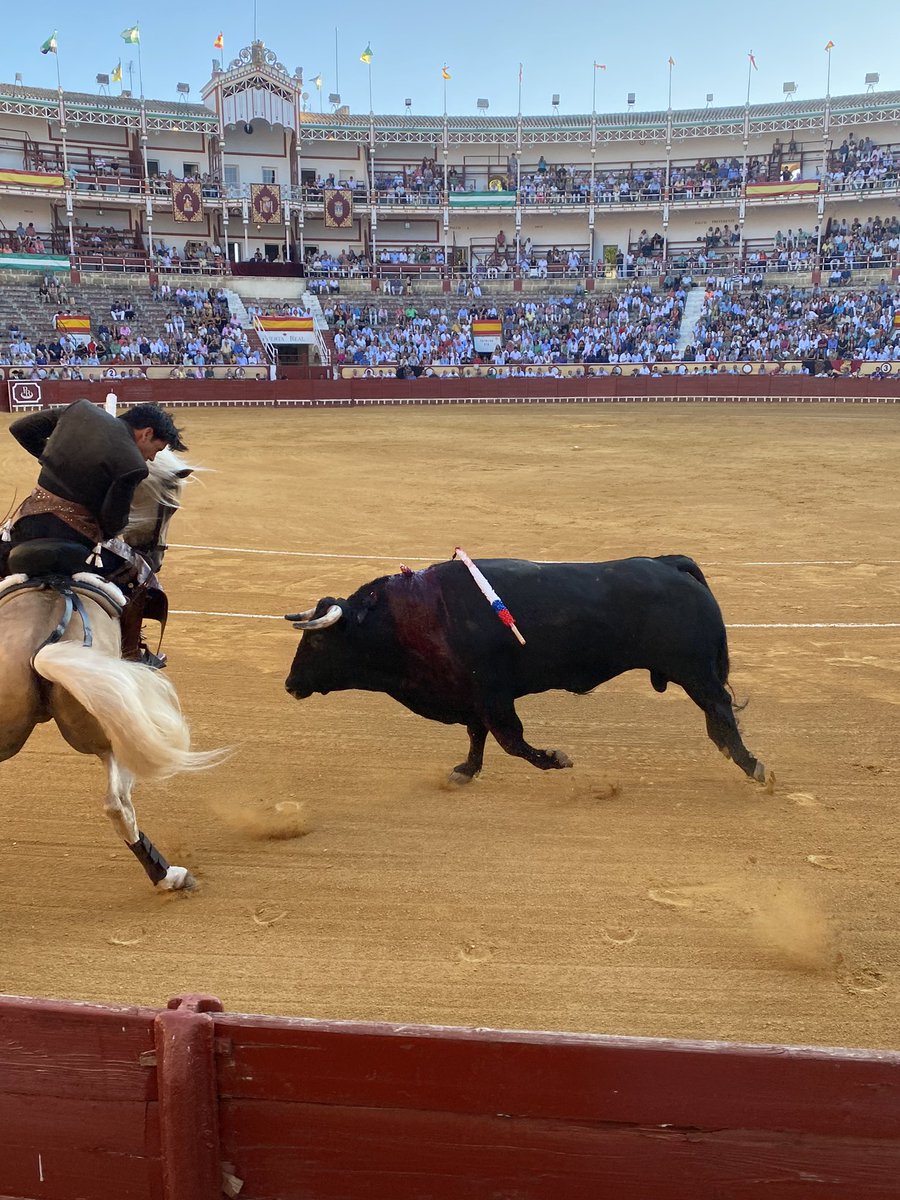 🔻Para muchos abonados de Pamplona la fiesta de los toros termina el 14 de julio. Pero para nosotros no, porque somos aficionados los 365 días del año.🔻

📸 de nuestros viajes taurinos por diversas plazas de norte a sur: Santander, La Linea, El Puerto, la ganadería de CebadaGago
