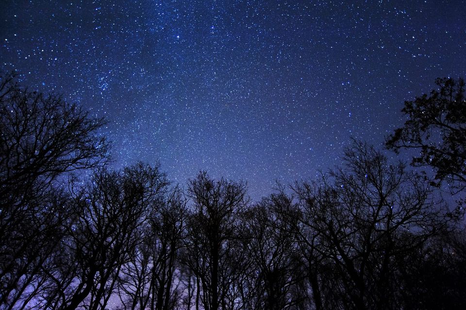 Badger Talks (@uwbadgertalks) on Twitter photo Unlock the mysteries of the universe! Join Max Kroft and Talia O'Shea at Pattison State Park on 8/17 at 9:00 PM for a Universe in the Park event. Dive into the latest astronomy news. <a href="/uwastro/">UW-Madison Astronomy</a> <a href="/UWSpacePlace/">UW Space Place</a> <a href="/WDNR/">Wisconsin DNR</a>
For more information: hubs.ly/Q02K-pBM0 Unlock the mysteries of the universe! Join Max Kroft and Talia O'Shea at Pattison State Park on 8/17 at 9:00 PM for a Universe in the Park event. Dive into the latest astronomy news. <a href="/uwastro/">UW-Madison Astronomy</a> <a href="/UWSpacePlace/">UW Space Place</a> <a href="/WDNR/">Wisconsin DNR</a>
For more information: hubs.ly/Q02K-pBM0
