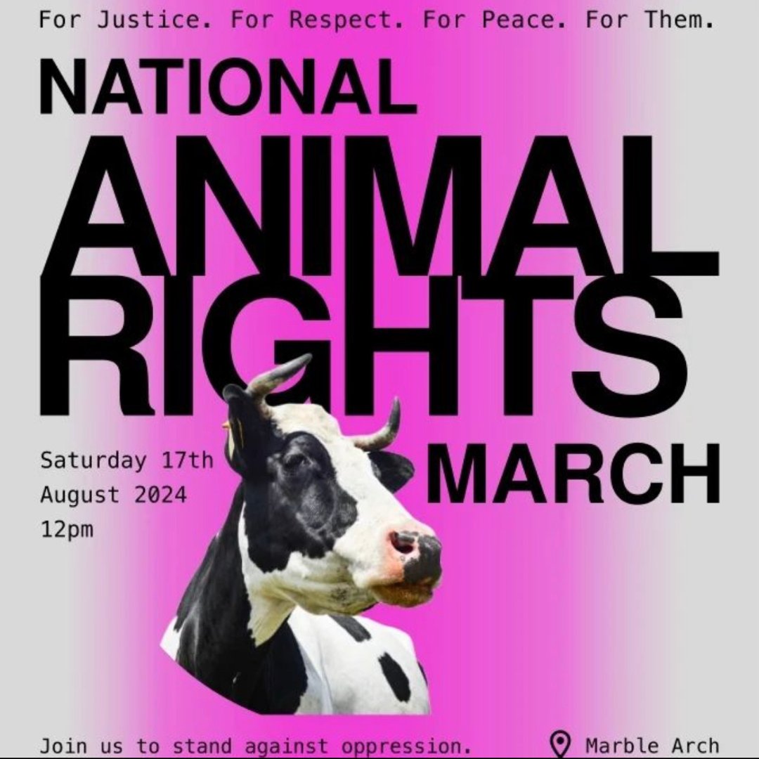 AnimalAid's tweet image. Animals are individuals. They feel pain, happiness!
Join us at the National Animal Rights March✊️
Let's create a world where all sentient being can live free from exploitation💕

#NARM #RightsNotWelfare #GoVegan